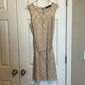 The Limited Cream with Gold Shimmer Lace Belted Dress